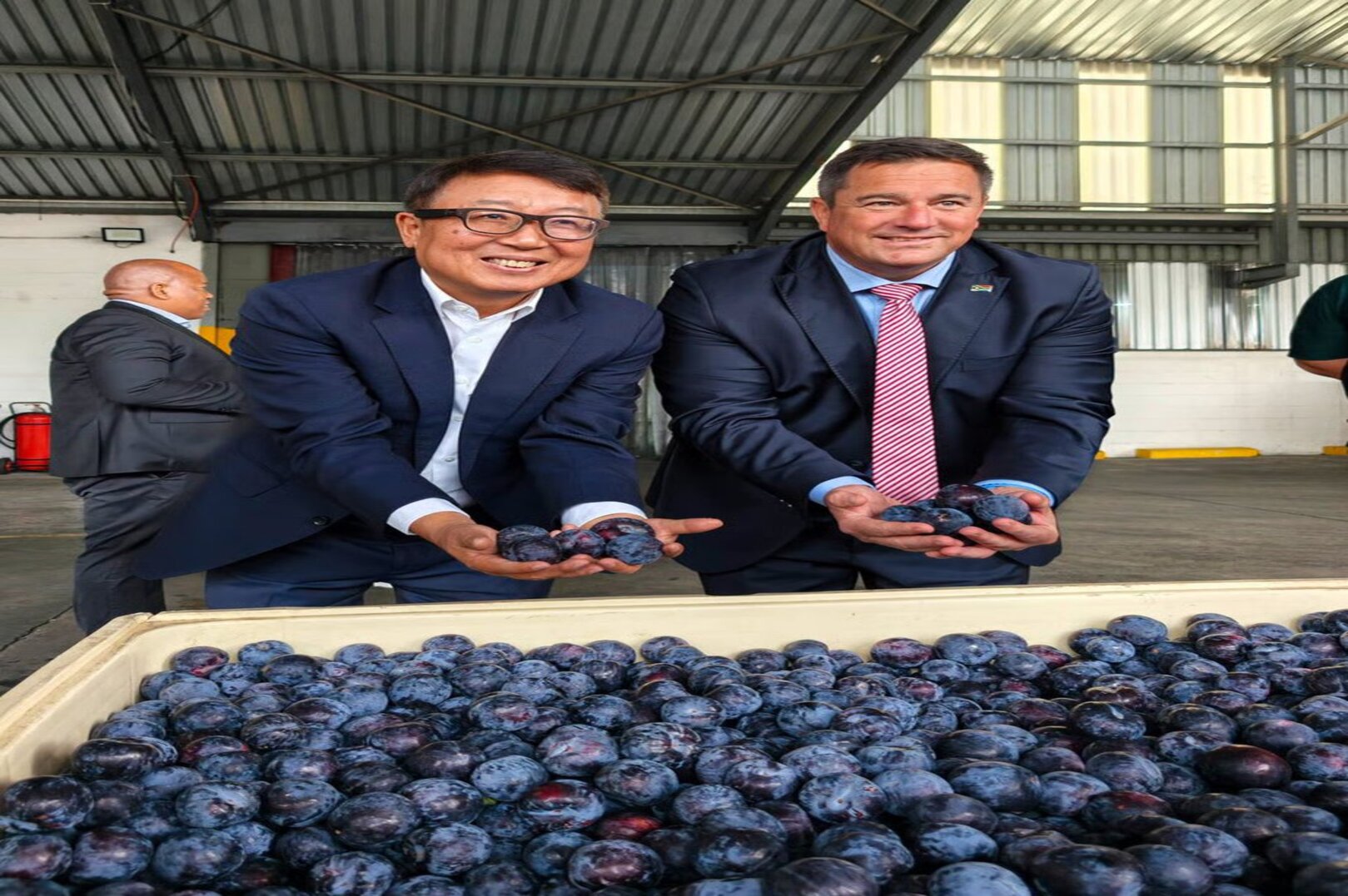 south africa ships first stone fruit consignment to china, opening new agricultural trade opportunities